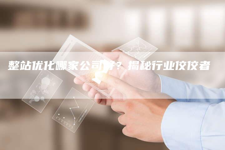 整站优化哪家公司好？揭秘行业佼佼者-速发外链网