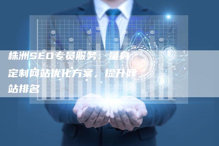 株洲SEO专员服务：量身定制网站优化方案，提升网站排名