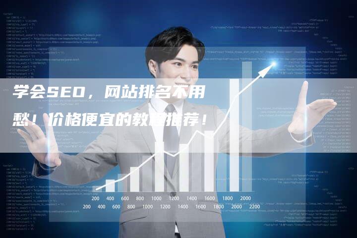 学会SEO，网站排名不用愁！价格便宜的教程推荐！