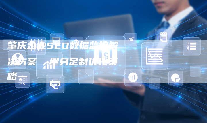 肇庆企业SEO数据监控解决方案  量身定制优化策略