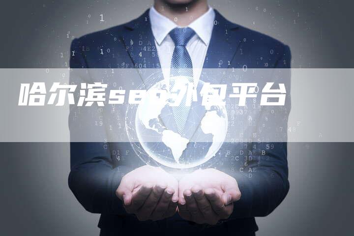 哈尔滨seo外包平台