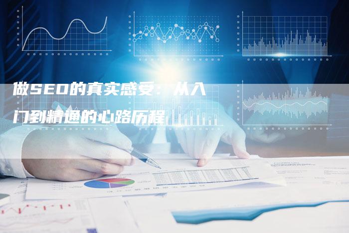 做SEO的真实感受：从入门到精通的心路历程