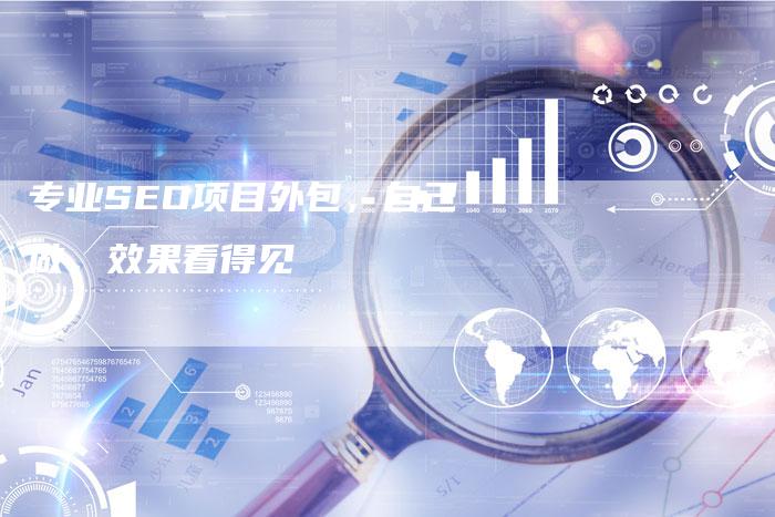 专业SEO项目外包，自己做，效果看得见-速发外链网