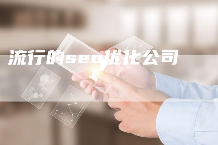 流行的seo优化公司