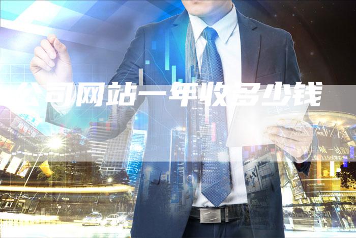公司网站一年收多少钱