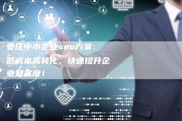 枣庄中小企业seo方案：低成本高转化，快速提升企业知名度！