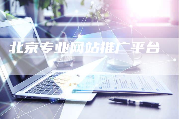 北京专业网站推广平台