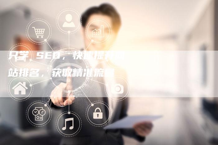 只学 SEO，快速提升网站排名，获取精准流量
