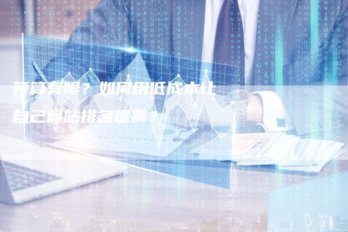 预算有限？如何用低成本让自己网站排名提高？-速发外链网