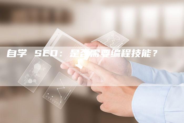 自学 SEO：是否需要编程技能？