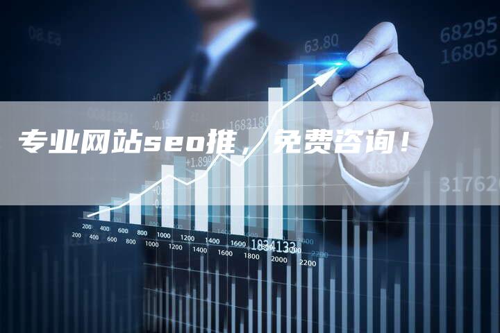 专业网站seo推，免费咨询！