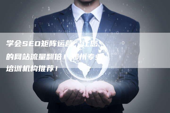 学会SEO矩阵运营，让您的网站流量翻倍！郑州专业培训机构推荐！