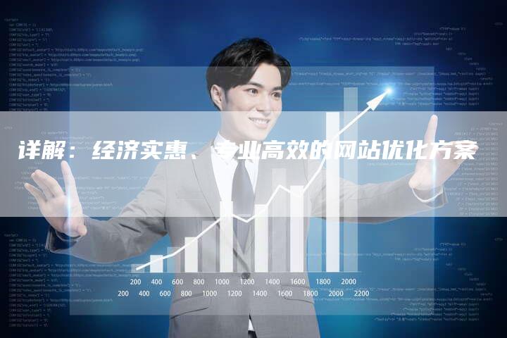详解：经济实惠、专业高效的网站优化方案