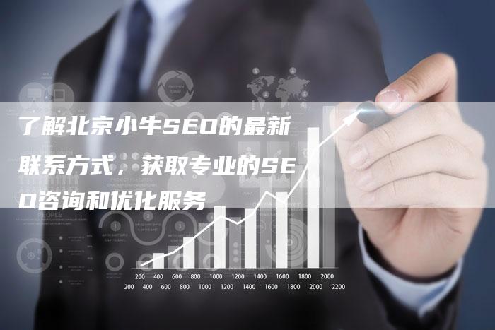 了解北京小牛SEO的最新联系方式，获取专业的SEO咨询和优化服务