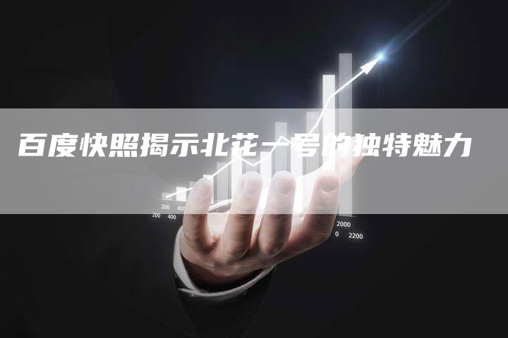 百度快照揭示北花一号的独特魅力-速发外链网
