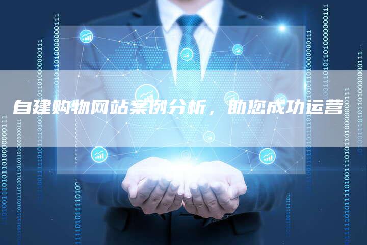 自建购物网站案例分析，助您成功运营