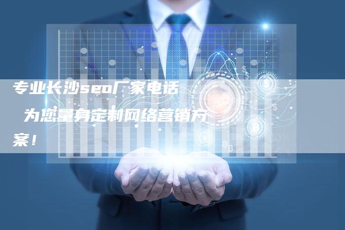 专业长沙seo厂家电话  为您量身定制网络营销方案！-速发外链网