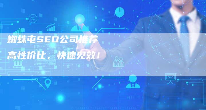 蜘蛛屯SEO公司推荐  高性价比，快速见效！