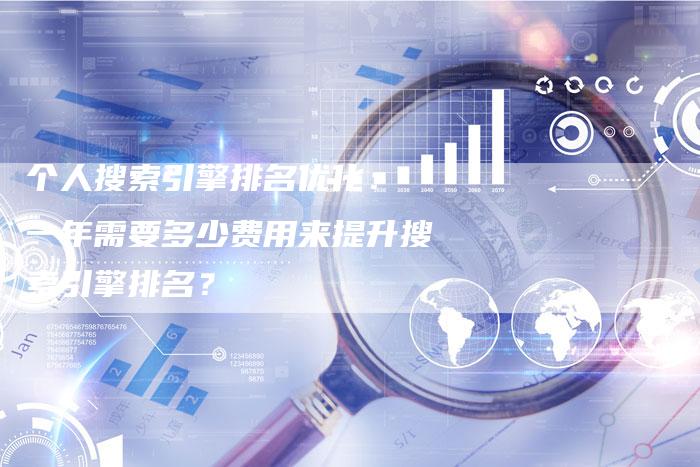 个人搜索引擎排名优化： 一年需要多少费用来提升搜索引擎排名？