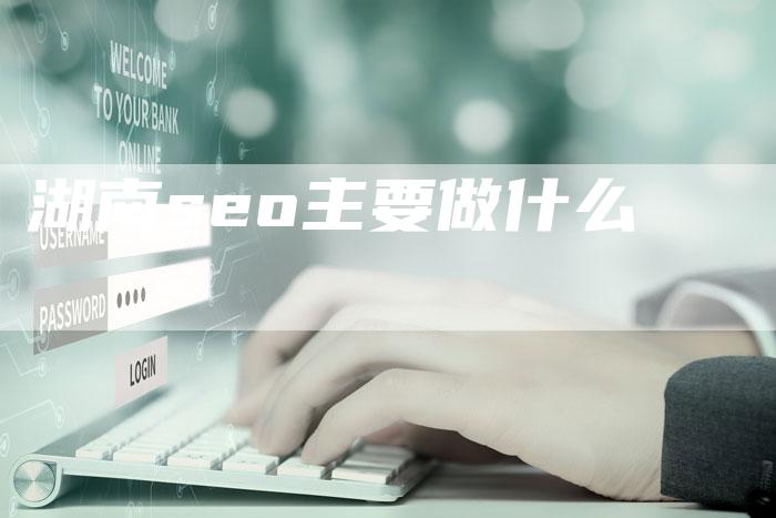 湖南seo主要做什么