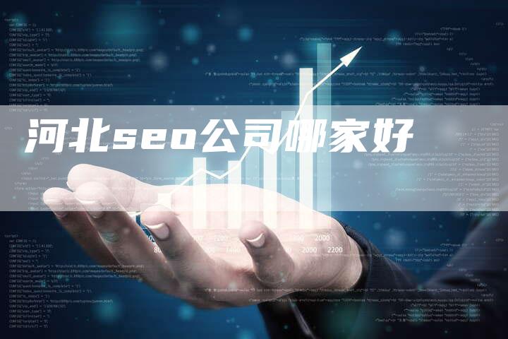 河北seo公司哪家好