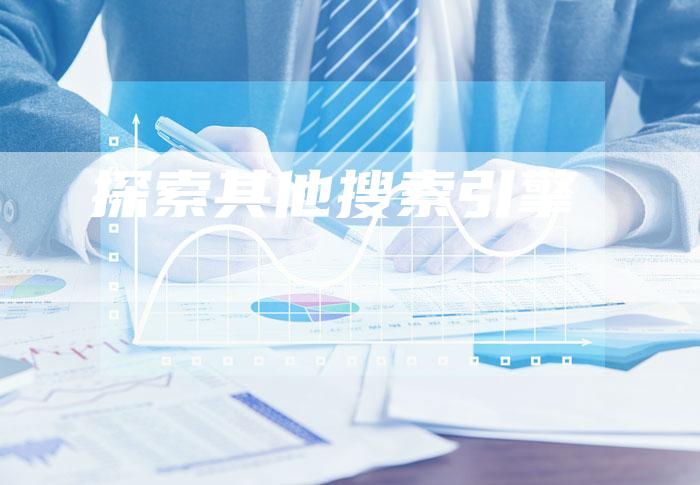 探索其他搜索引擎