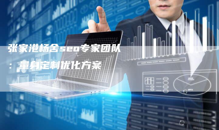 张家港杨舍seo专家团队：量身定制优化方案-速发外链网