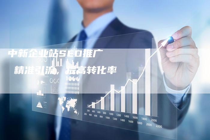 中新企业站SEO推广   精准引流，提高转化率