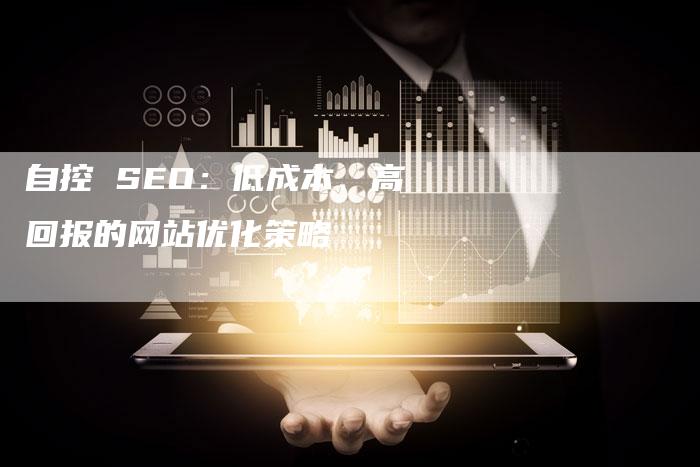 自控 SEO：低成本、高回报的网站优化策略-速发外链网