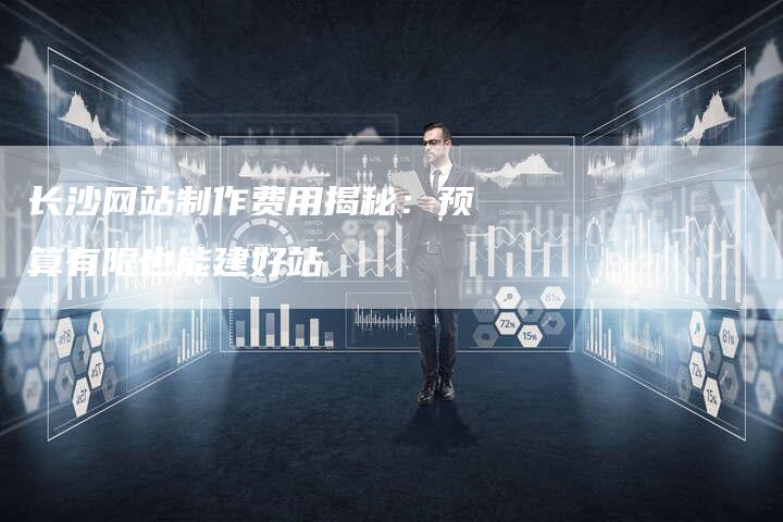 长沙网站制作费用揭秘:预算有限也能建好站-速发外链网