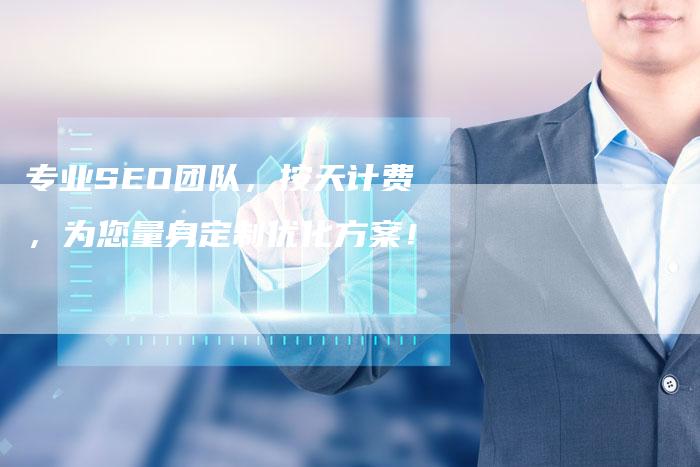 专业SEO团队，按天计费，为您量身定制优化方案！