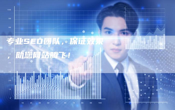 专业SEO团队，保证效果，助您网站腾飞！