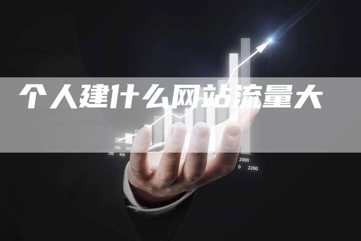 个人建什么网站流量大