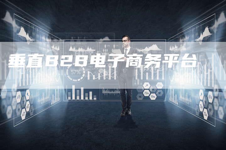 垂直B2B电子商务平台
