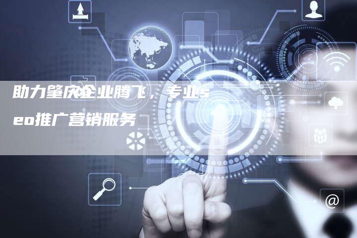 助力肇庆企业腾飞，专业seo推广营销服务