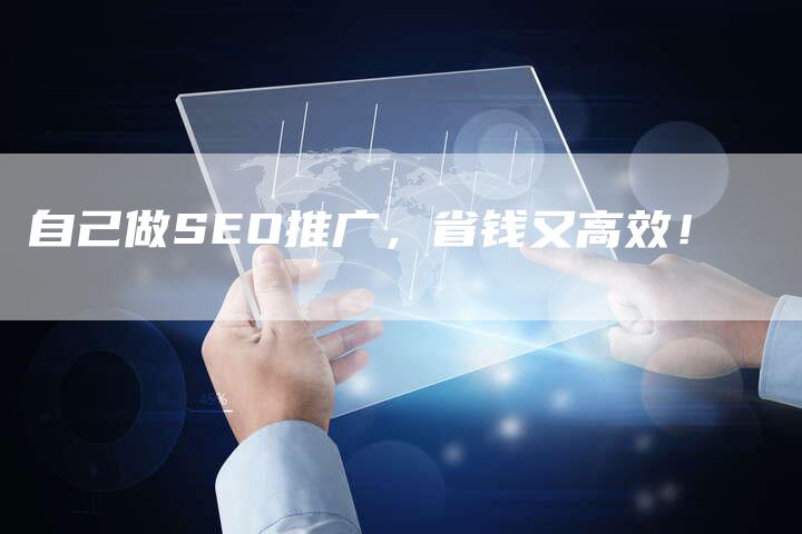 自己做SEO推广，省钱又高效！-速发外链网