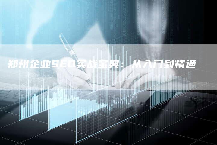 郑州企业SEO实战宝典：从入门到精通-速发外链网
