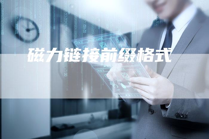 磁力链接前缀格式-速发外链网