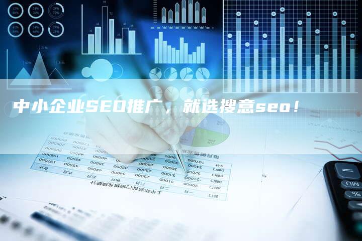 中小企业SEO推广，就选搜意seo！